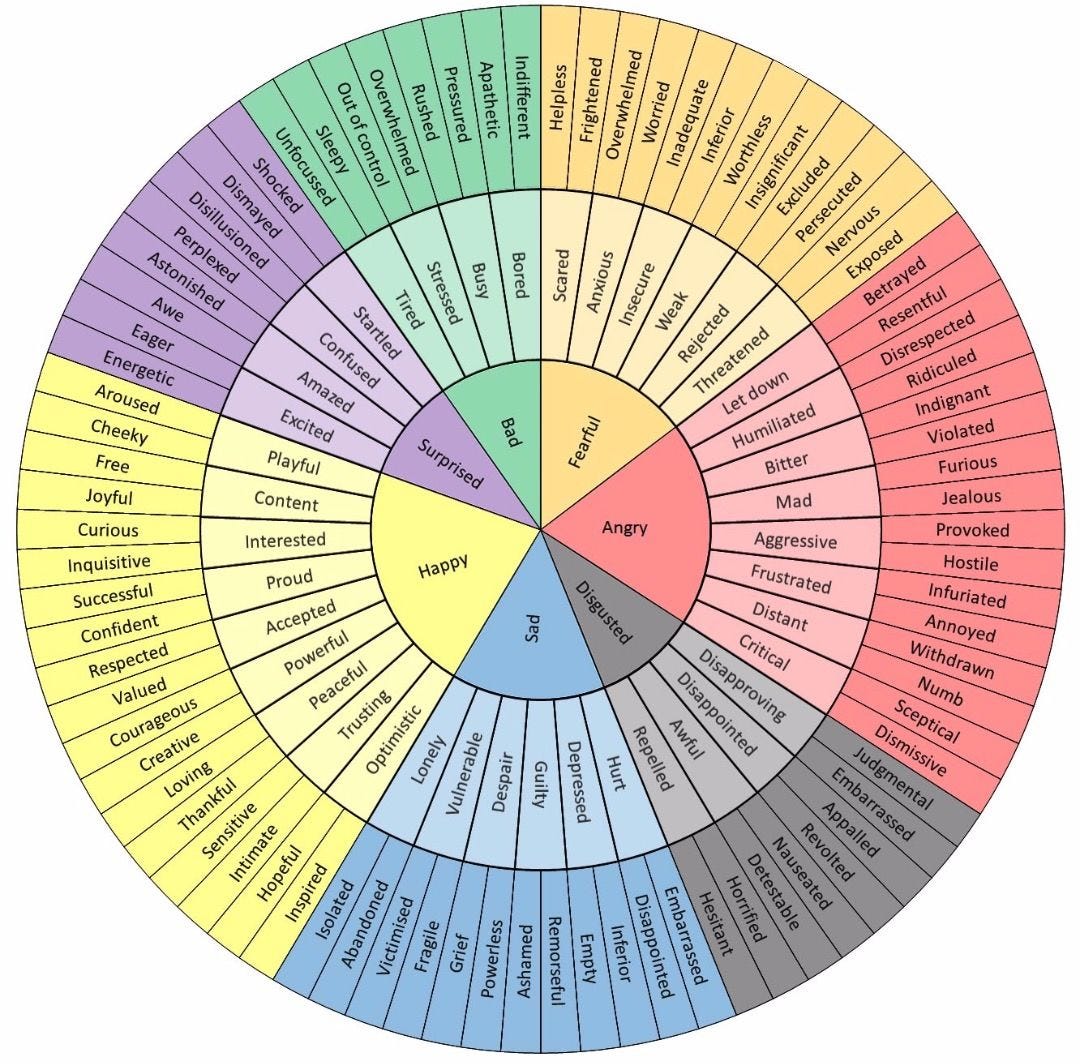 Emotions wheel discussed by Dr Malvika Behl